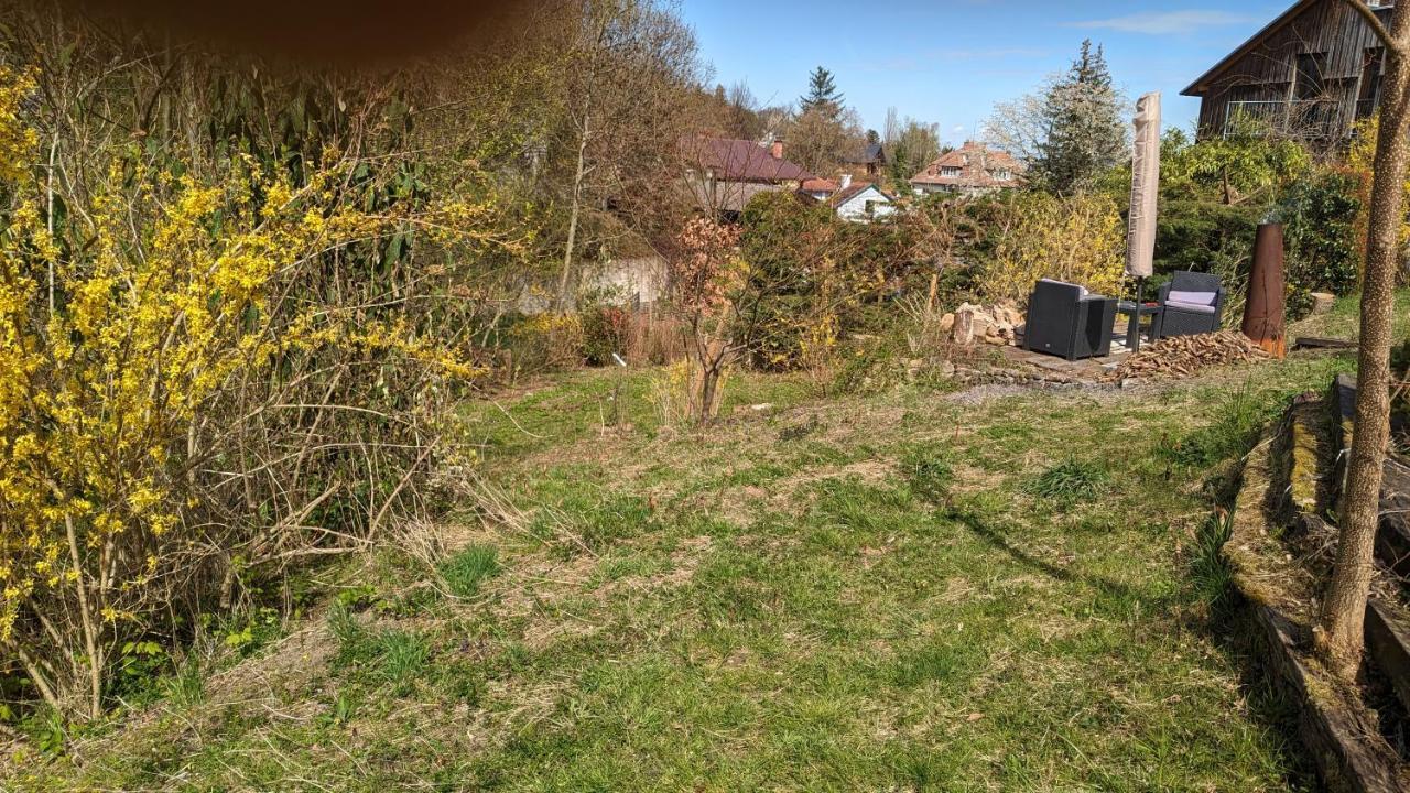 20 Min Nach Wien, Ruhig Und Gruen Klosterneuburg Eksteriør billede